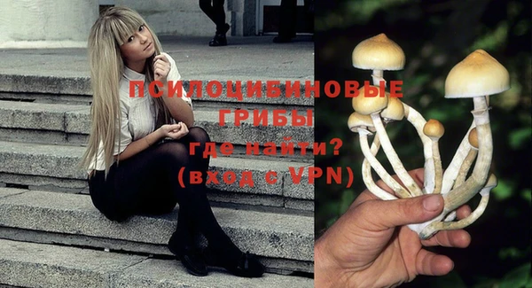 не бодяженный Алексин